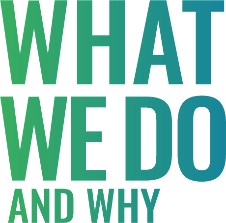 What we do and why